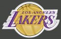 Los Angeles Lakers Plastic Effect Logo Sticker Heat Transfer