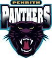 Penrith Panthers 1998-2012 Primary Logo decal sticker
