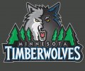 Minnesota Timberwolves Plastic Effect Logo Sticker Heat Transfer